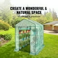 thumbnail image 5 of KFFKFF Portable Walk-in Greenhouse Green House with Shelves 4.6 x 4.6 x 6.6 ft, 5 of 9