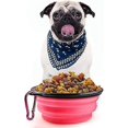 thumbnail image 4 of Cuenco para Mascotas Cuenco Plegable Portátil Gato Y Perro Hebilla De Anillo De Silicona 1 Pieza Naranja Baoji En Vedette, 4 of 5