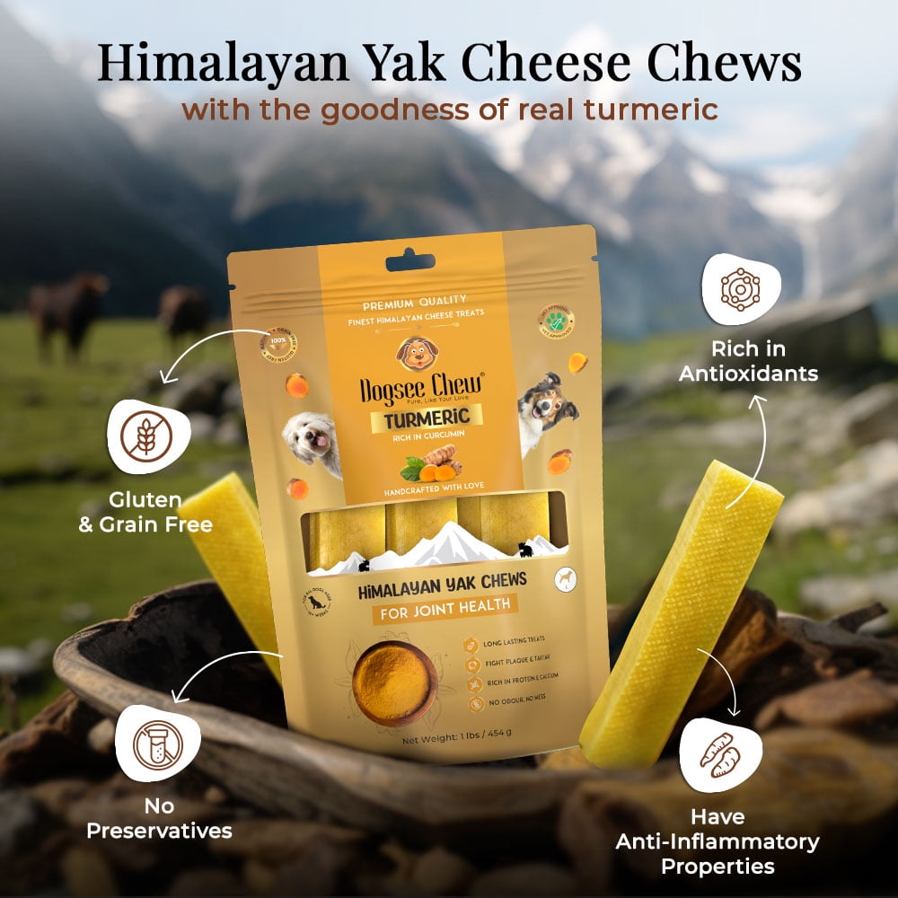 Dogsee FBA-DC-TL-1P Himalayan Yak Chews Turmeric Long Lasting Dental Dog Chews - Large