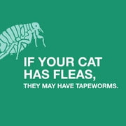 Elanco Tapeworm Removal Dewormer for Cats, 3 Tablets Praziquantel
