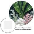 thumbnail image 3 of unbranded 12Ud Malla Acuario De Inoxidable Resistente Para Musgo Estable Y Multifuncional En Color Plata, 3 of 8