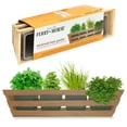 thumbnail image 2 of Plantation Products Windowsill Herb Growing Kit with Black Sleeve, 2 of 3