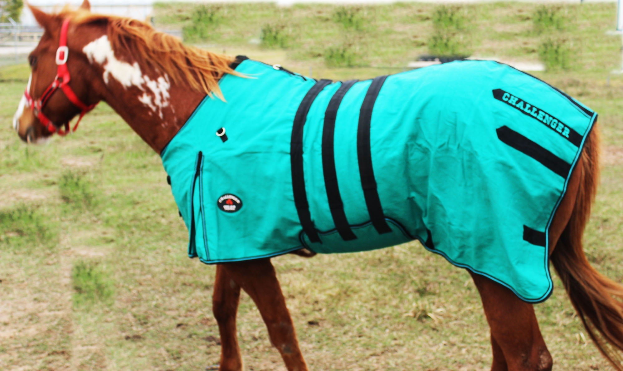 Canvas Duck Turnout Water Resistant Horse Winter Blanket BellyBand 25BB