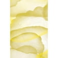 thumbnail image 3 of Aesthete 13x18 Black Modern Framed Museum Art Print Titled - Yellow Paper, 3 of 5