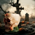 thumbnail image 5 of FeiFu Skull Figurines Halloween Skull Spooky Skull Decorations for Home Offices Parties Realistic Ornaments Adding Horror Festive Touch to Any Space​, 5 of 5