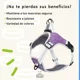 thumbnail image 4 of Pechera Para Perros, Arnés De Seguridad Ajustable S-m-l-xl, 4 of 5