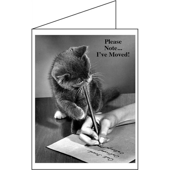 Change of Address GREETING CARDS, I've Moved! (Pack of 30 Cards & 30 Envelopes) Moving Announcements FN4002CAS-30