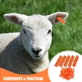 thumbnail image 4 of Practical and Durable Orange TPU Ear Tags for Marking Livestock with Unique Numbers 100pcs, 4 of 8
