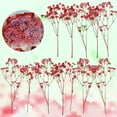 thumbnail image 2 of NIUREDLTD Home Decor Big Sale ! Breath Flowers Real 12Pcs Dried Real Babysbreath Flowers Home Decor Beautiful for Diy Decor （Red）, 2 of 5
