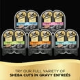 SHEBA Wet Cat Food Cuts in Gravy Tender Trout Entree,