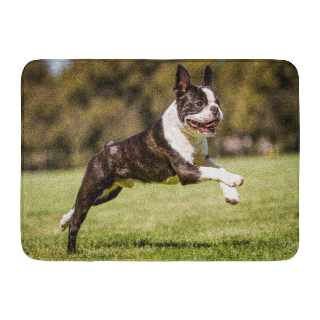 YUSDECOR Animal Black French Running Boston Terrier Dog White Old Bulldog Rug Doormat Bath Mat 23.6x15.7 inch Walmart