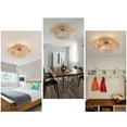 thumbnail image 4 of Ceiling Fan with Cage Design, 5 Blades, LED Bulb Compatible, 6-Speed Wind Control, Remote and Timer Features for Year-Round Comfort, 4 of 7