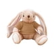 thumbnail image 2 of Fiudx Conejito de Peluche, Suave y Tierno, Regalo de Apoyo Emocional, Adorable Juguete para Amigos, Familiares y Novias, Ideal para Todas Las Edades, Ideal para Momentos Acogedores, 25 Cm., 2 of 5