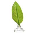 thumbnail image 1 of Fish Tank Accessories Decorations Betta Fish Hammock Aquarium Decoration Botanical Decor Decore, 1 of 2