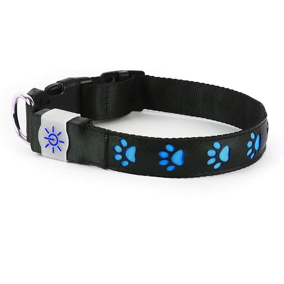 Night Scout Illuminating USB Rechargeable Light Up Blue Dog Collar, Small