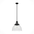 thumbnail image 2 of Hunter - Cypress Grove 1-light Natural Black Iron, Medium Size Pendant Light, Dimmable, Transitional Style, Dome Shaped, for Bedrooms, Dining, Living Rooms - 19251, 2 of 8