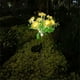 thumbnail image 4 of Bewildely Luces de flores con energía Solar para patio, jardín, luz de suelo al aire libre, luces decorativas para césped, luz Solar para Iluminación y accesorios Rosa, 4 of 6