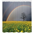 thumbnail image 3 of Ambesonne Rainbow Shower Curtain, Dandelion Field and Tree, 69"Wx70"L, Multicolor, 3 of 3