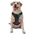 thumbnail image 1 of Balery Red And Green Carnation Arnés para Perros Grandes Antitirones, Arnés con Correa para Gato, Arnés Tipo Chaleco para Perros Pequeños-Small, 1 of 6