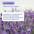 thumbnail image 4 of Odor Blasters Fabric Rinse, 4-in-1 Clean Rinse Formula, Laundry Additive and Odor Eliminator for Sweat and Musty Odors, Sparkling Fresh Scent, 50 fl oz, 4 of 5