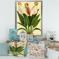 thumbnail image 3 of Designart 'Retro Wildflowers' Farmhouse Framed Art Print, 3 of 4