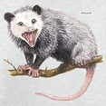 thumbnail image 3 of CafePress - Opossum Possum Animal Kids Sweatshirt - Kids Sweatshirt, Youth Crew Neck Sweatshirt, 3 of 4