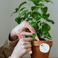 thumbnail image 4 of ADDHAT 20Ud Para Uso En Jardín Con Mangos Ergonómicos Sencillos, 4 of 6