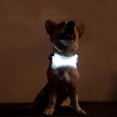 thumbnail image 4 of LED Dog Collar,Makes Your Dog Visible, Safe & Seen,Green, 4 of 15