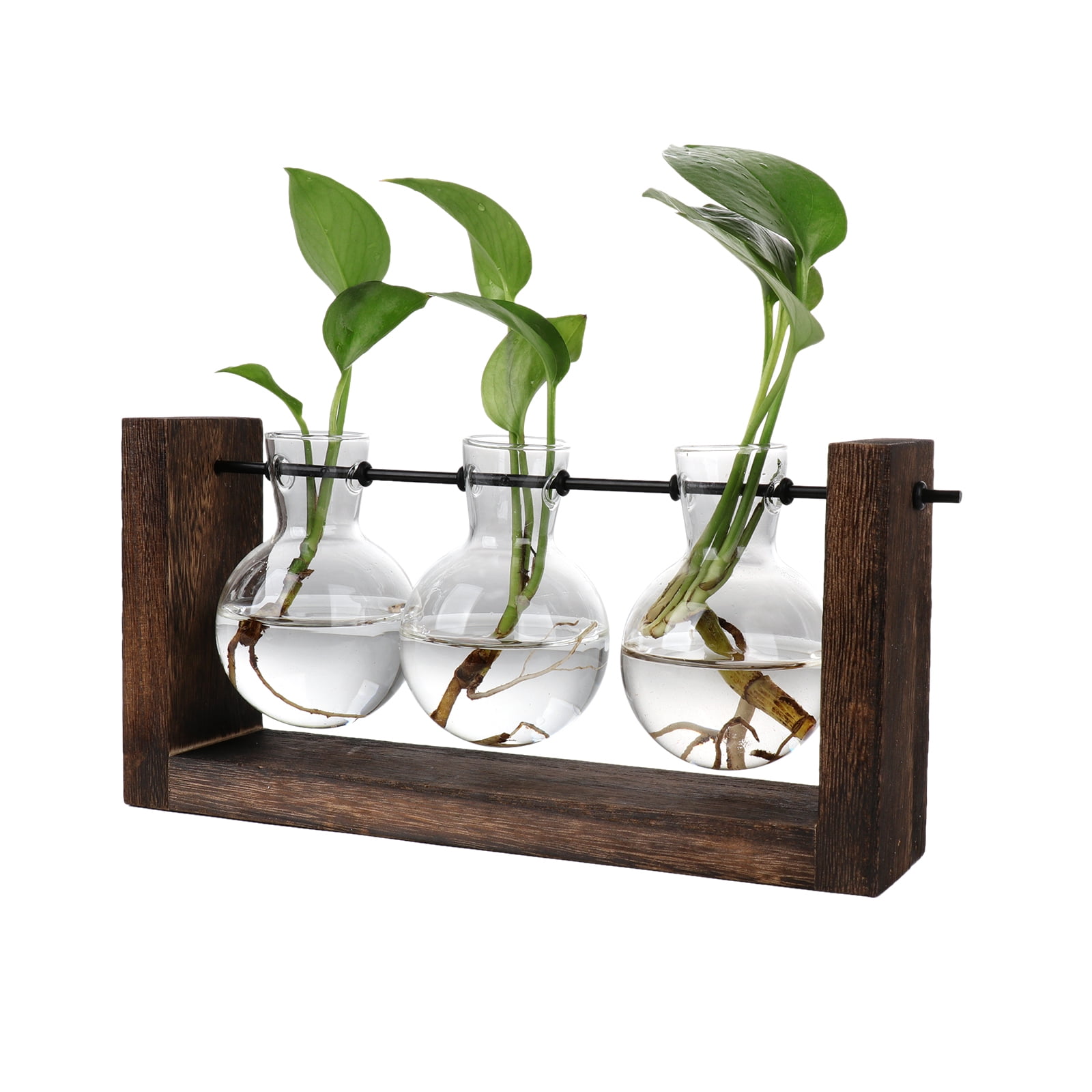 Flower Pot Glass Vase Planter Bulb for Hydroponics Plants+Wooden Stand for Decor 