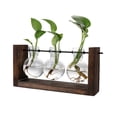 thumbnail image 2 of Hydroponic Vase Simple Decorative Glass Flower Vase Plant Terrarium with Wooden Stand, 2 of 5