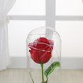 thumbnail image 3 of Rosa de imitación de lámina de oro, rosa eterna, rosa, rosa, regalo creativo para el día de San Valentín, 3 of 6
