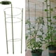 thumbnail image 1 of de Jardín de Jaula de Soporte de Escalada de Plantas s de 3x60 3 Anillos Macarena Marco de soporte para trepar enredaderas, 1 of 8
