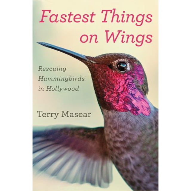 Fastest Things on Wings: Rescuing Hummingbirds on Hollywood