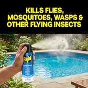 Raid Flying Insect Killer Bug Spray, Kill Flies & Other Bugs Indoors & Outdoors, 15 oz, 2 Count