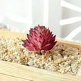 thumbnail image 2 of Mini Artificial Succulents, 1 Pc Faux Succulents, Realistic Fake Succulents, Artificial Hanging Ornaments Fleshed Plant Textured for Home Garden Wedding Party Spring Decoration, Red, 2 of 5