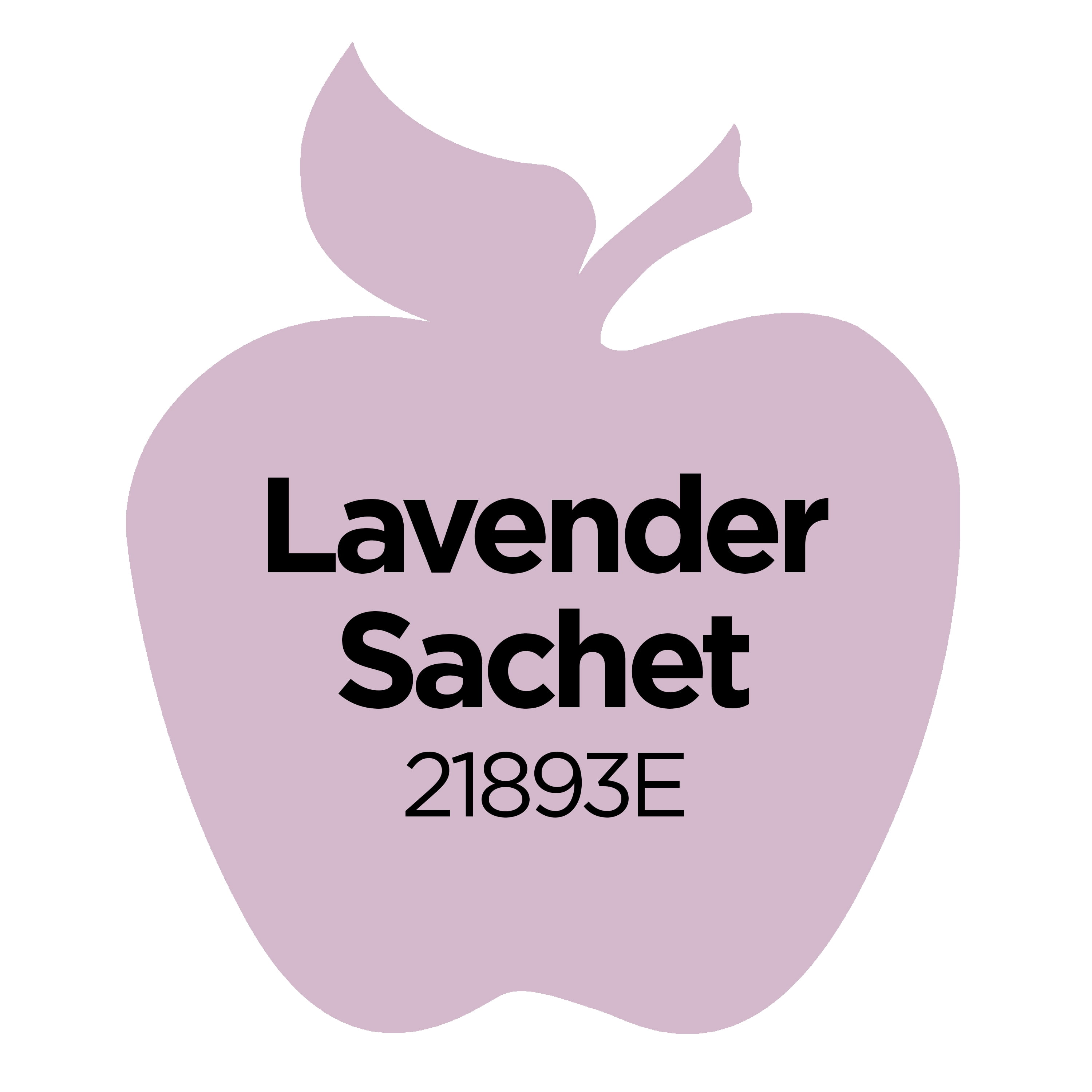 Plaid Apple Barrel Acrylic Paint Set - Royal Violet & Lavender