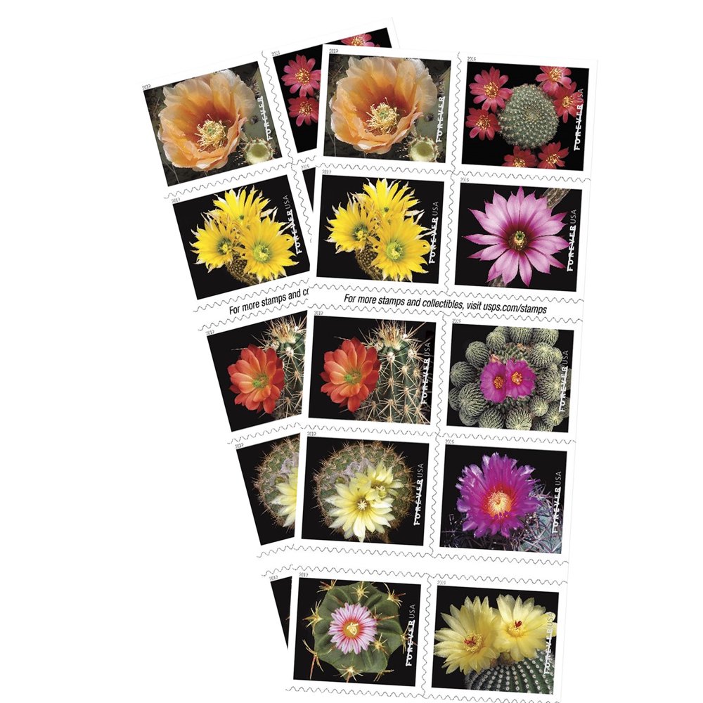 Cactus Flower 2 Books of 20 USPS Forever First Class Postage Stamps