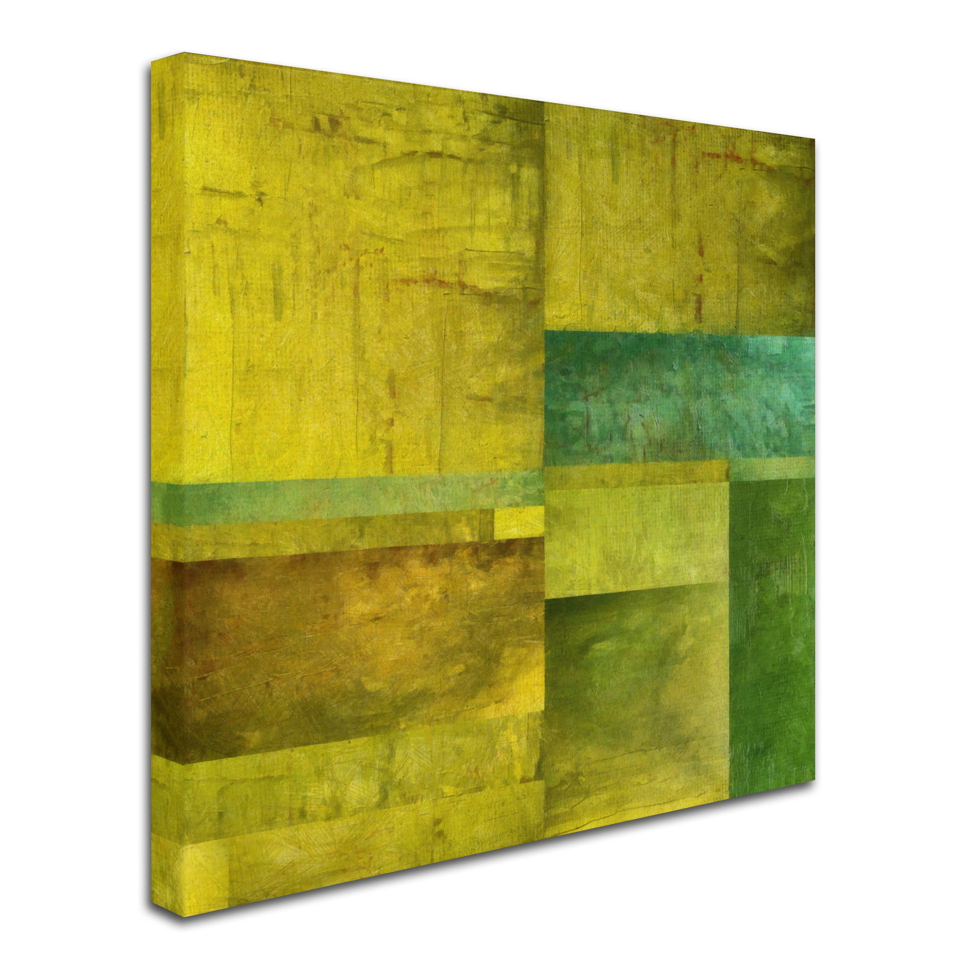 Trademark Fine Art "Essence of Green" Canvas Art by Michelle Calkins