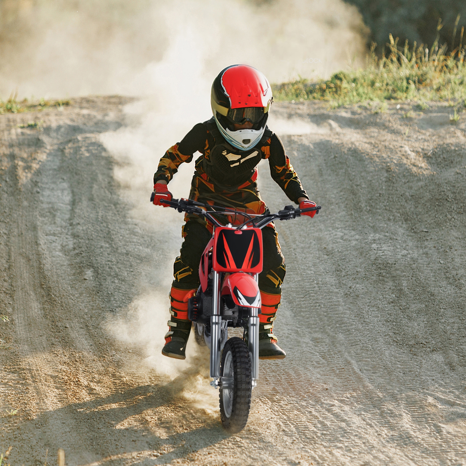 49cc Mini Dirt Bike for Beginners, Gas Powered Off-Road Motorcycle with Pull Start, Disc Brakes & Shock Absorption, 2-Stroke Engine, Lightweight 41" Mini Motorcycle for Teens & Outdoor Riding,Red