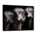 thumbnail image 2 of Designart "Chiaroscuro Mystery Of Ostriches" Ostriches Floater Framed Canvas Art Print, 2 of 5