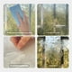 thumbnail image 3 of Películas para ventanas 3D electrostáticas, calcomanías creativas y elegantes para ventanas, reutilizables (gato), 3 of 4
