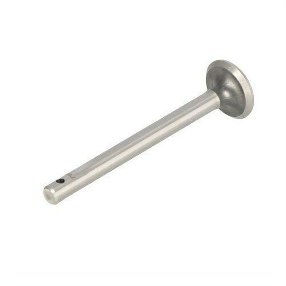Intake Valve, New, Massey Ferguson, 1751518M1