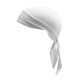 thumbnail image 1 of Ciclismo Head Wrap Mesh Fabric Ciclismo Color Brillante Moda Skull Caps Transpirable A Prueba De Frío Casco Liner Tj-03Azure qarigey OD019380-06, 1 of 6