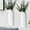 White, variant on Indoor Wood Wall Planter Set of for Plants - Boho Handmade Hanging Propagation Station with Curved Rainbow Design, Wall Mounted Vase for Flowers, Natural Home Decor Living Room Entryway(2)