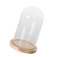 thumbnail image 6 of Glass Cloche, Plant Terrarium Dome, Flower Vase Display Case with , Table Centerpiece Dome , L, 6 of 9