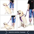 thumbnail image 3 of Correa para perro Plutus Pet de 1,8 m de largo con dos asas reflectantes, color morado, 3 of 7