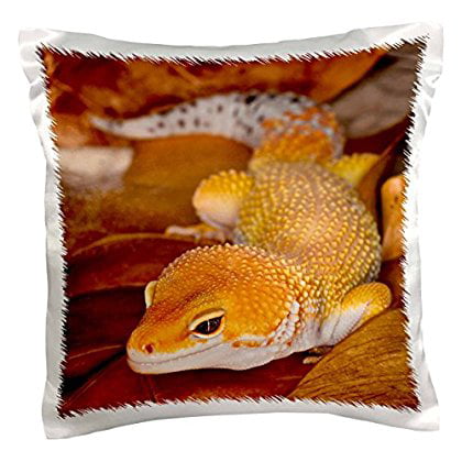 3dRose Leopard Gecko morph, Lizard, Pakistan-AS28 AJE0000 - Adam Jones, Pillow Case, 16 by