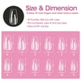 thumbnail image 6 of Gellen Medium Coffin Fake Nail Tips for Press on Nails, 504Pcs Soft Gel Tips for Nail Extensions Full Cover Pre-shaped 12 Sizes Clear False Nails for Nail Art, 6 of 8