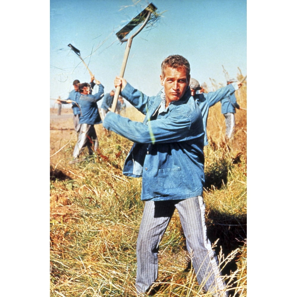 Cool Hand Luke Photo Print (8 x 10)