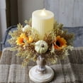 thumbnail image 7 of HomelyJoy Thanksgiving Table Center Piece & Fall Centerpieces for Tables, Rich and Charming Display with Big Pumpkins Cute Berries for Thanksgiving Dinner Table Centerpiece Decor, 7 of 7